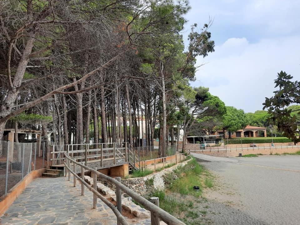 דירות Llança L'Armonia Entre La Farella I Cau Del Llop מראה חיצוני תמונה
